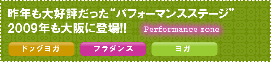 パフォーマンスステージ