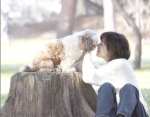 伊東 はなん,動物,ペット,一般社団法人動物対話協会代表理事,杉並区動物適正飼養普及員,動物対話,ジャンヌダルク