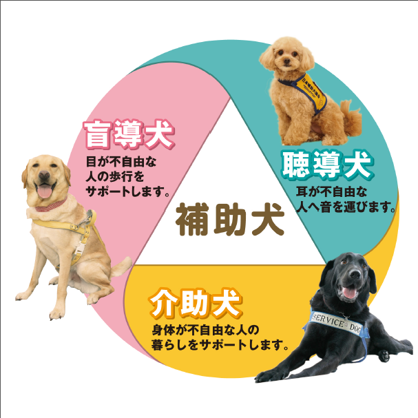 公益財団法人 日本補助犬協会様